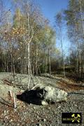 Restloch Erzkörper 7 im Revier Callenberg, Granulitgebirge, Sachsen, (D) (21) 31. Oktober 2013.JPG